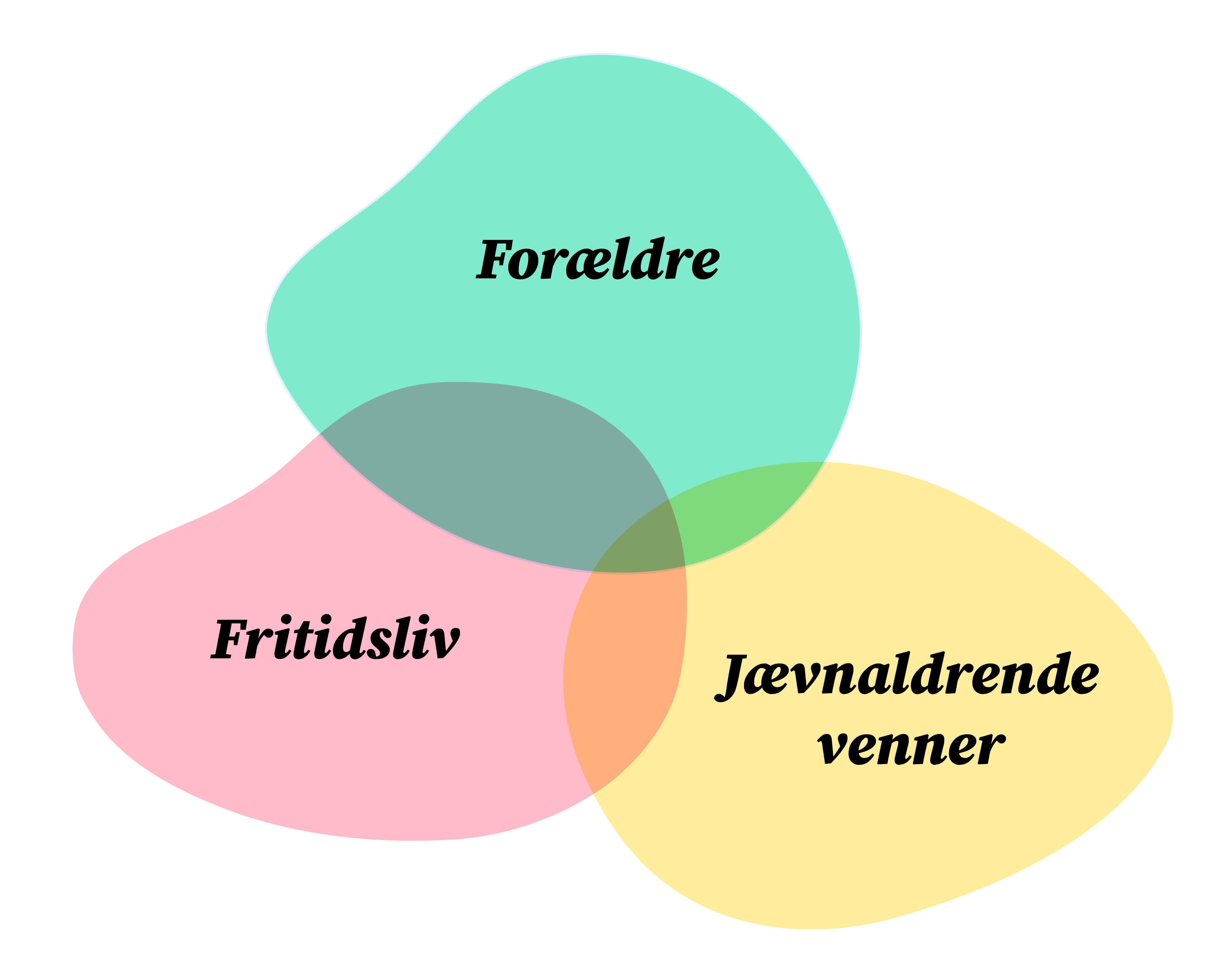 Beskyttende Faktorer | Fælles Om Ungelivet