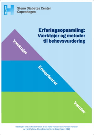 Erfaringsopsamling: Værktøjer Og Metoder Til Behovsvurdering I Den ...